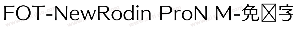 FOT-NewRodin ProN M字体转换